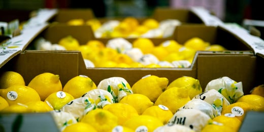 How food companies can reduce food waste