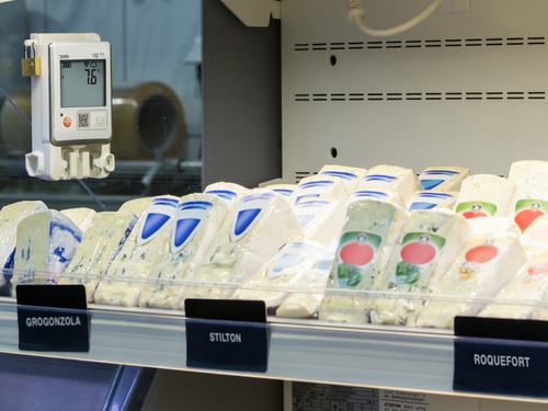 testo-162-t1-application-cheese-counter testo-162-t1-application-cheese-counter